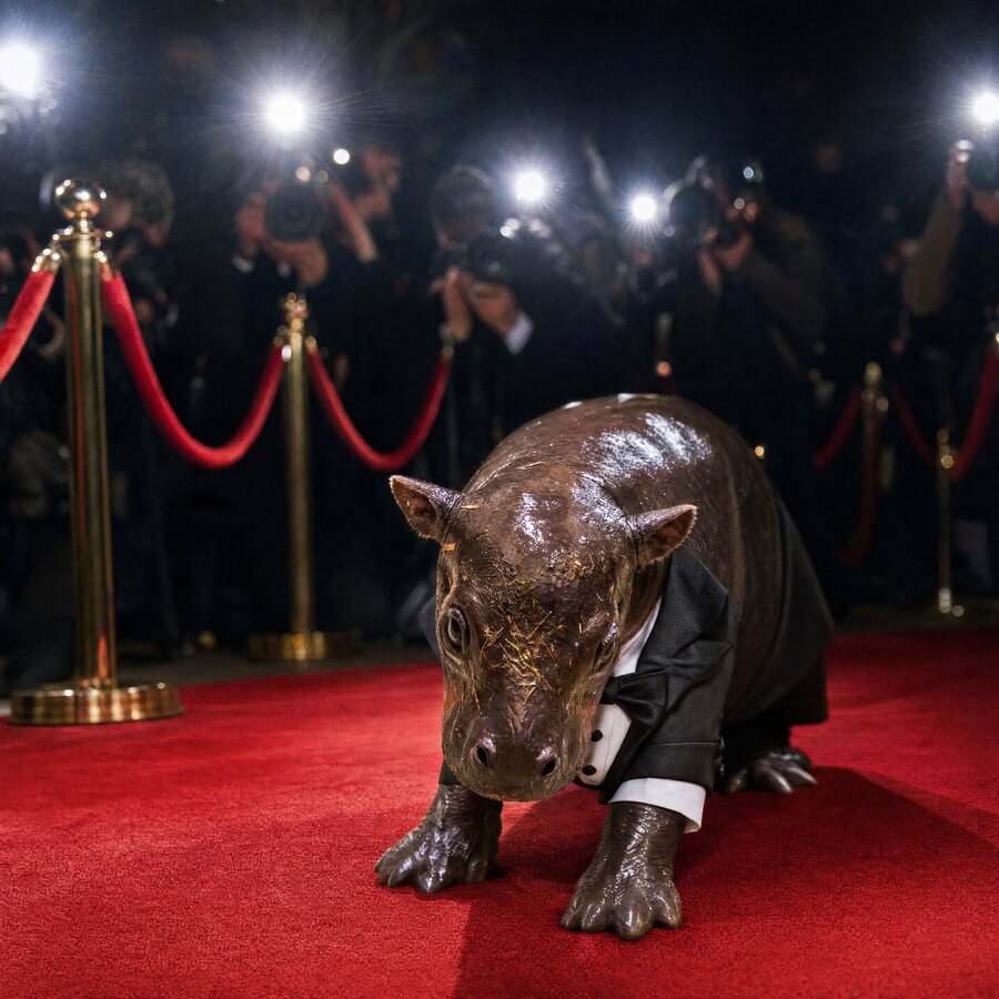Piper illustrated in a tuxedo on a red carpet facing photographers.